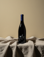 Babylonstoren Shiraz